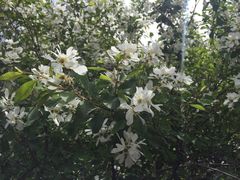 -长春公园(普阳街道)