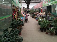 -龙大花卉苗木市场