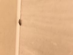 -大连富丽华大酒店