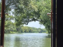 -西溪国家湿地公园