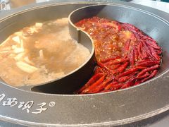 -川西坝子(老军营店)