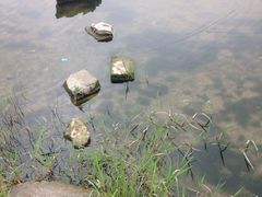 -美兰湖景区