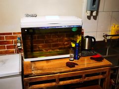 -新月斋(豆瓣胡同店)