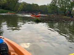 -西溪国家湿地公园