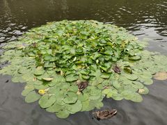 -前关湿地公园