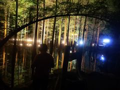 -金山植物公园