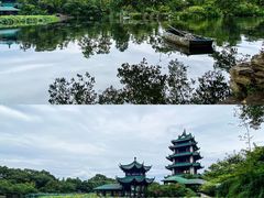 -桂湖森林公园