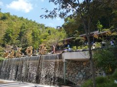 -宁波浙东大竹海景区