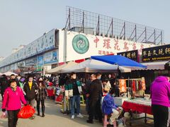 -中环花鸟鱼虫市场