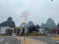-明仕田园