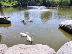 -西安秦岭野生动物园