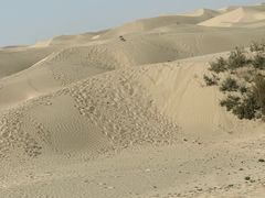 -成都梵高星空艺术馆(春熙路旗舰店)
