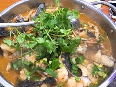 -全乐鱼馆·淳牌有机鱼直营店
