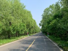 -同里国家湿地公园