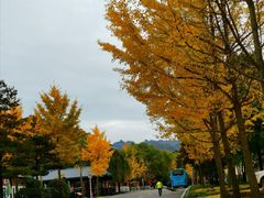 -洛阳白云山景区