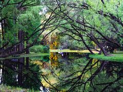 -上海共青森林公园