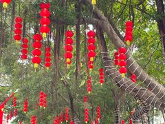 -广东圆玄道观