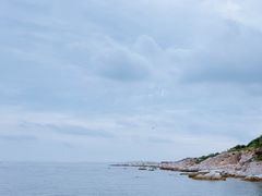 -养马岛旅游度假区