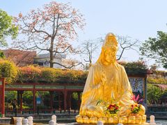 -宝墨园景区