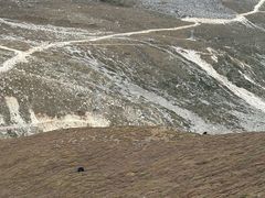-新都桥贡嘎雪山观景台