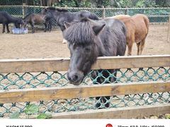 -广州长隆野生动物世界