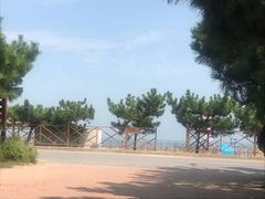 -日照海滨国家森林公园