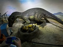 -国家自然博物馆