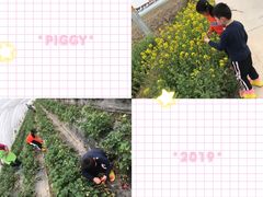 -小鱼草莓采摘园农家乐·小鱼餐厅
