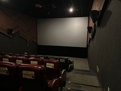 -汉阳天河电影城(王家湾店)