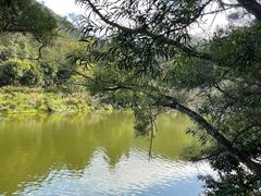 -深圳仙湖植物园