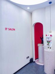 -IP SALON