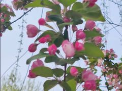 -元大都城垣遗址公园