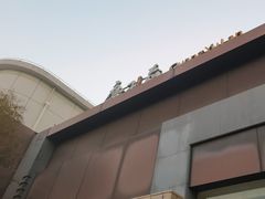 -广玉兰上海菜(德平店)