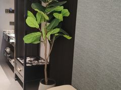 -万泊酒店(长沙五一广场国金中心店)