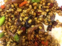 狗皮黄豆芽-春明狗肉馆(经开一区店)