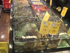 -新金盛·海鲜酒楼(盐田店)