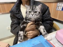 -宠福鑫动物医院(城北分院)