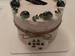 -莎琳娜食品有限公司·蛋糕店