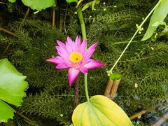 -云溪植物园
