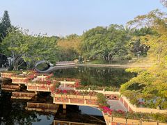 -深圳龙潭公园