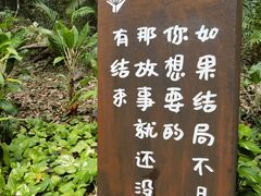 -亚龙湾热带天堂森林公园