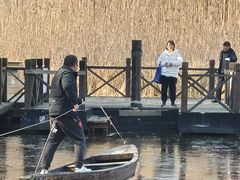 -溱湖国家湿地公园