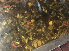 -颐和•海鲜砂锅粥•啫啫煲(奥林匹克广场店)