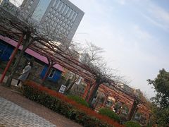 -嘉定紫藤园