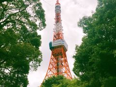 -东京塔海贼王主题公园