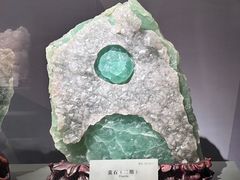 -湖南省地质博物馆