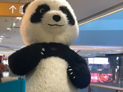 -半天妖烤鱼(印象城店)