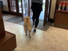 -星巴克臻选(思南公馆店)