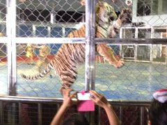 iphone_upload_pic-西安秦岭野生动物园