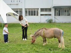 -金豆子幼稚园
